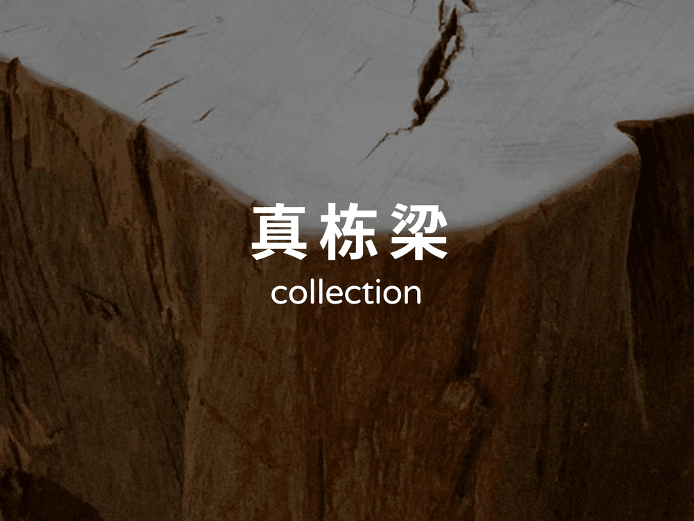 真栋梁 collection 